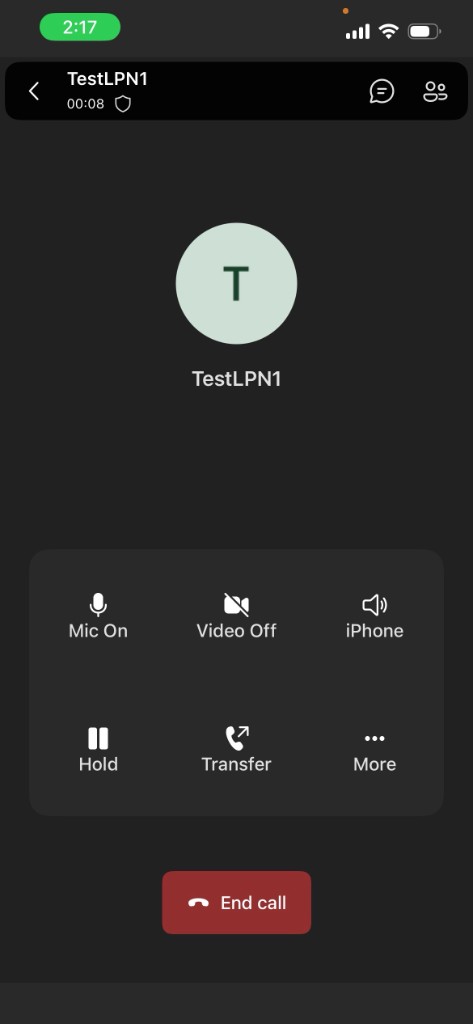 Call screen with an End call button