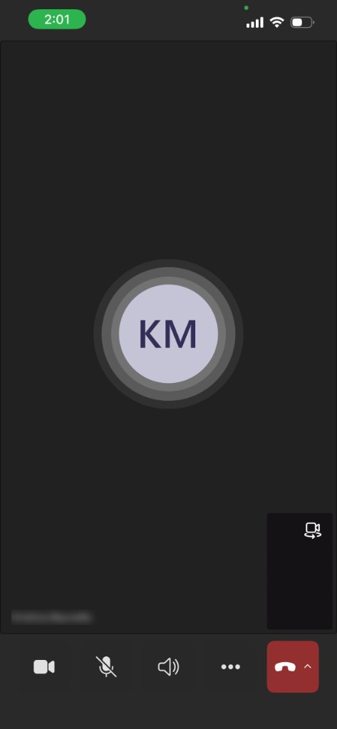 Meeting screen with the microphone muted at the bottom